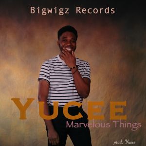 Marvelous Things – Yucee